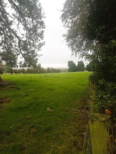 20.85 Acres Lands Oldglass, Grantstown, Ballacolla, Co. Laois