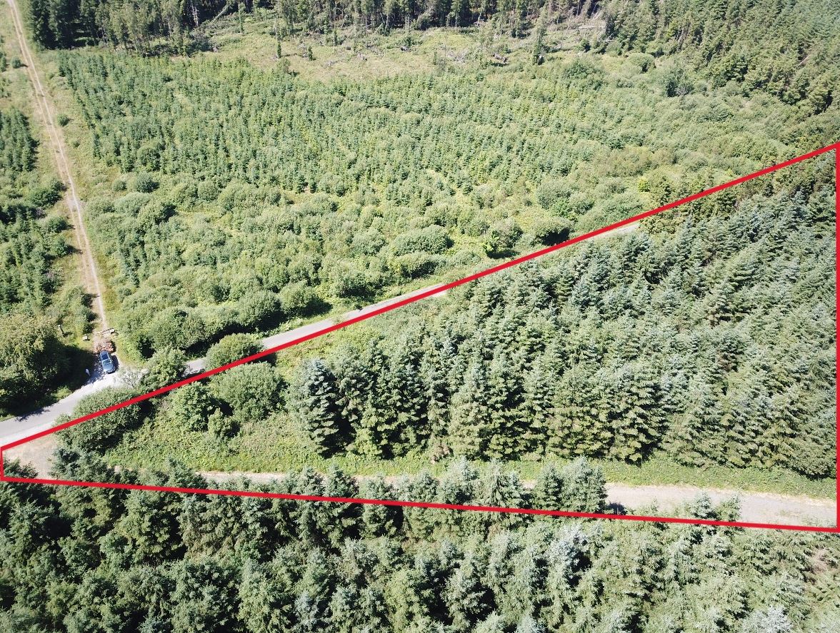 Forestry Land At Smithstown, Mullinavat, Co. Kilkenny