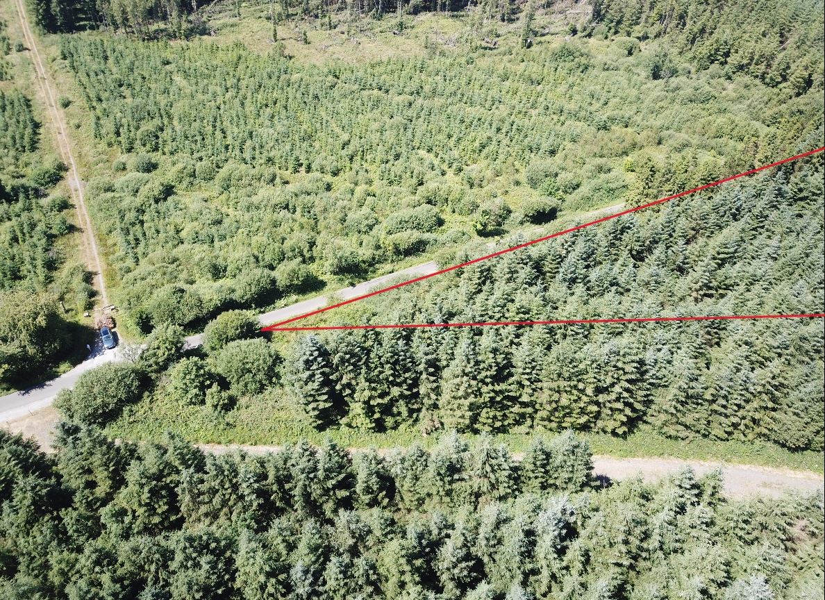Forestry Land At Smithstown, Mullinavat, Co. Kilkenny