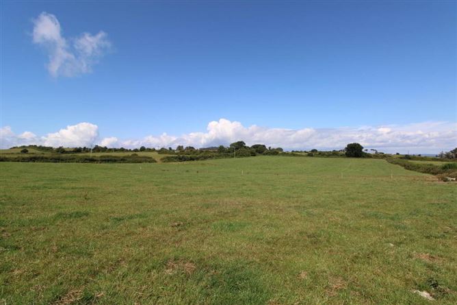 Photo 7 of 22 — 45.96 Acres, Shesharoe, Portroe, Nenagh, Tipperary