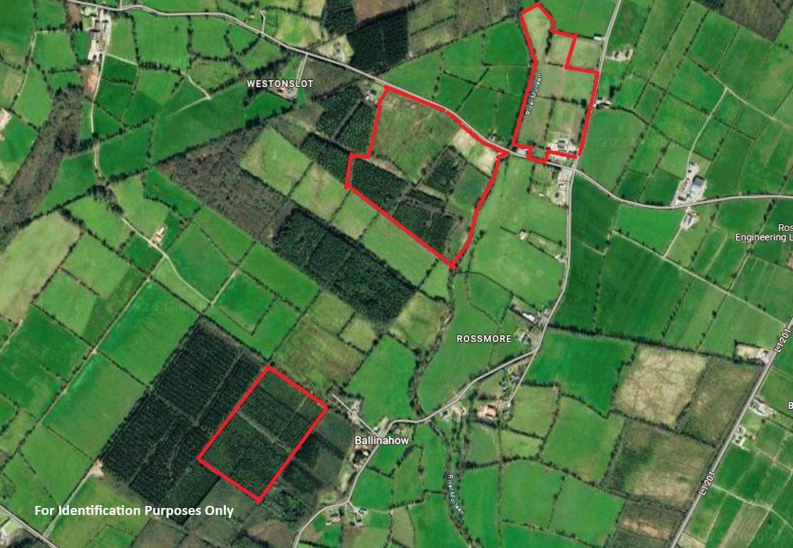 Lands Rossmore, Cashel, Co. Tipperary