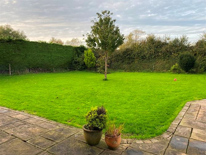 Halcyon, Johninstown Maynooth Co Kildare. , Maynooth, Kildare