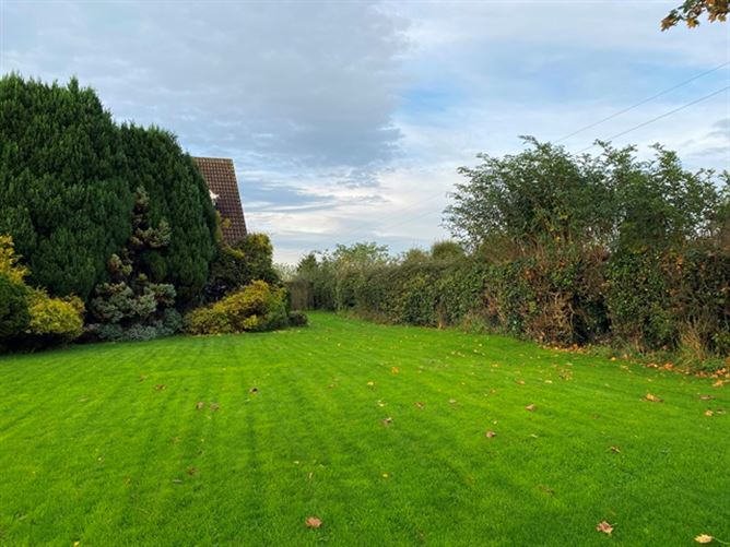 Halcyon, Johninstown Maynooth Co Kildare. , Maynooth, Kildare