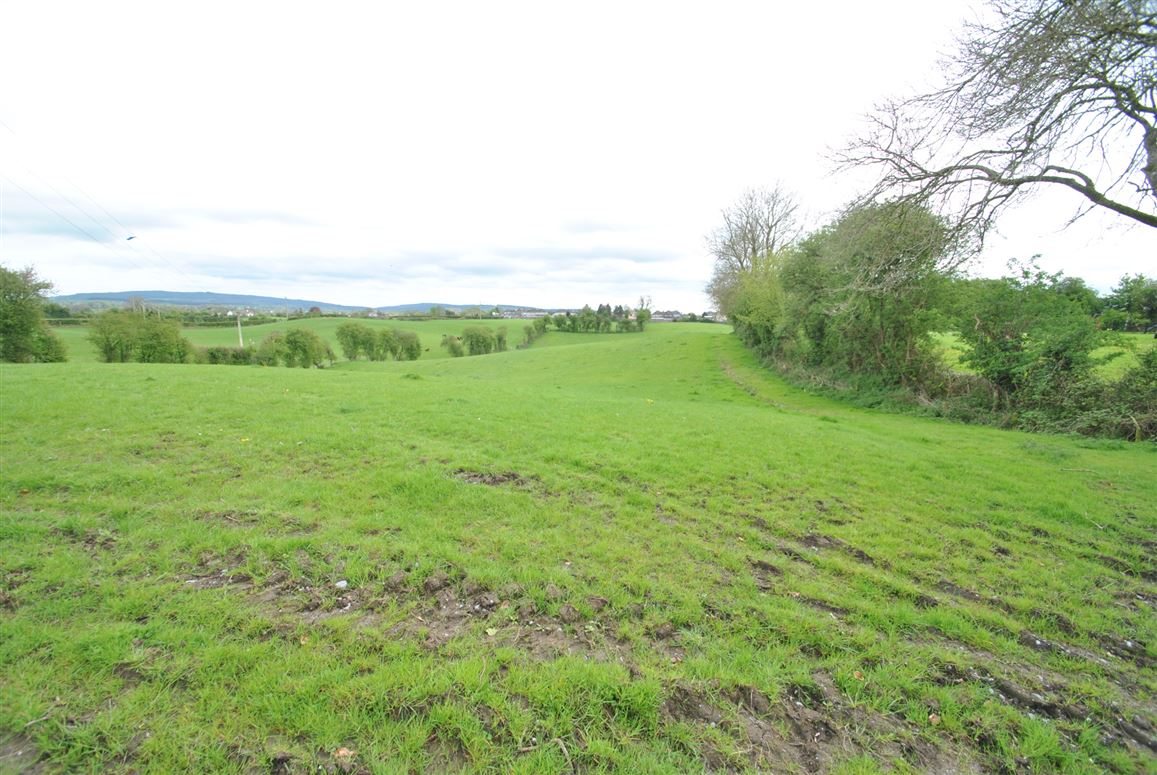 Approx. 3.22 Hectares/ 7.96 Acres, Golden Grove Road, Roscrea, Co. Tipperary