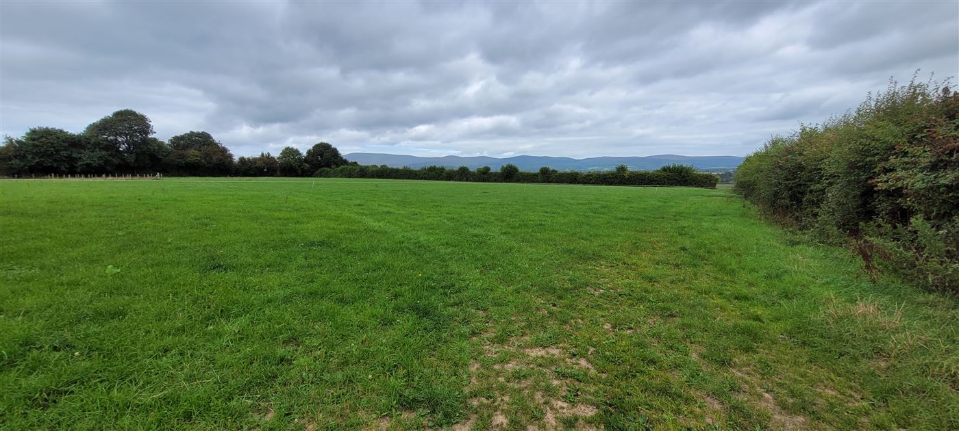 Ballylomasna, Ballylooby, Tipperary