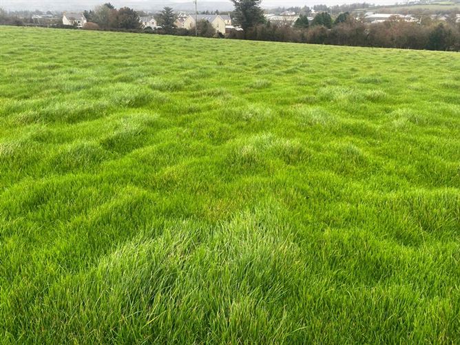 'The Parks', Carndonagh, Co. Donegal