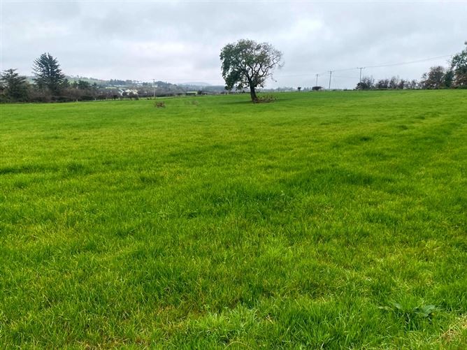 'The Parks', Carndonagh, Co. Donegal