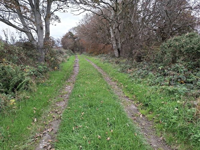 'The Parks', Carndonagh, Co. Donegal
