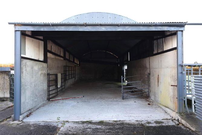 Ballagh, Errill, Portlaoise, Laois