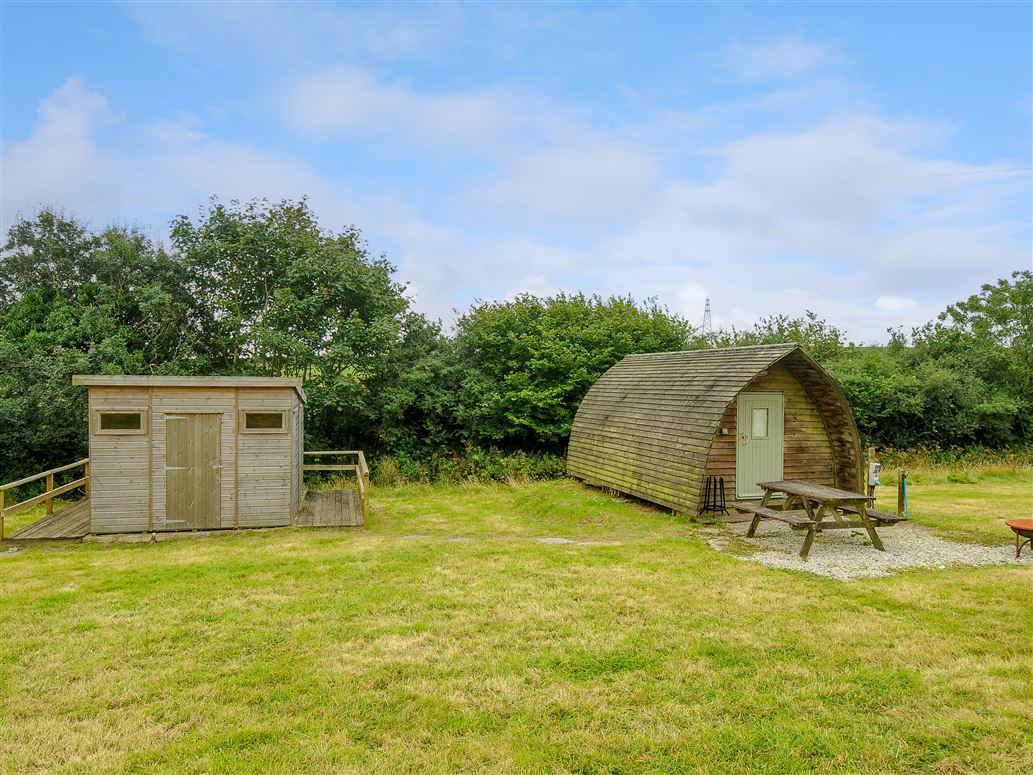 Badger Set @ Penbugle Organic Farm,Duloe, Cornwall, United Kingdom