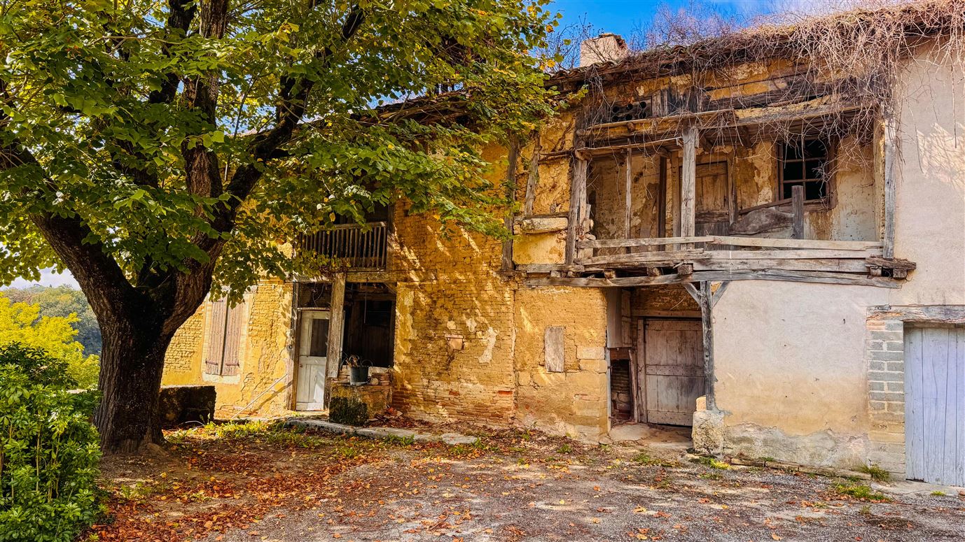 The Truffle Orchard,Molières, Occitanie, France