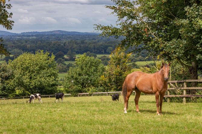 Photo 27 of 32 — Beaconhill, On Approx. 15.7ha (38.77 Acres), Kennycourt, Brannockstown, County Kildare