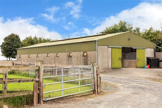 Photo 21 of 32 — Beaconhill, On Approx. 15.7ha (38.77 Acres), Kennycourt, Brannockstown, County Kildare