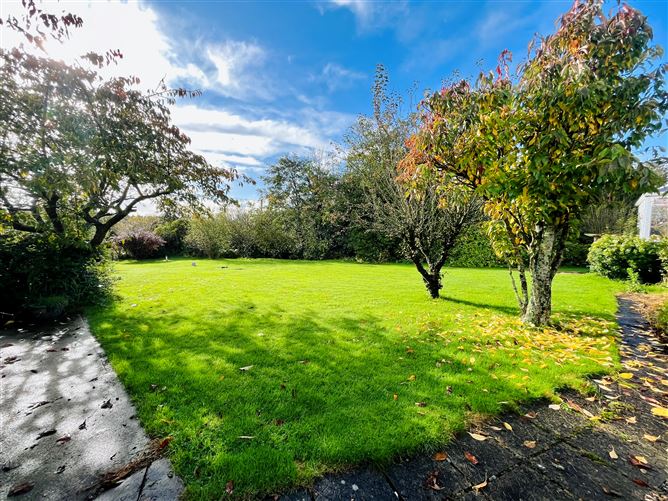 Cooladine, Enniscorthy, Wexford