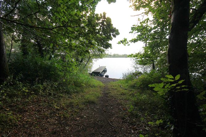 2 Corronagh Forest, Virginia, Co.Cavan