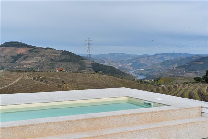 Where the Flowers Bloom,Covelinhas, Vila Real, Portugal