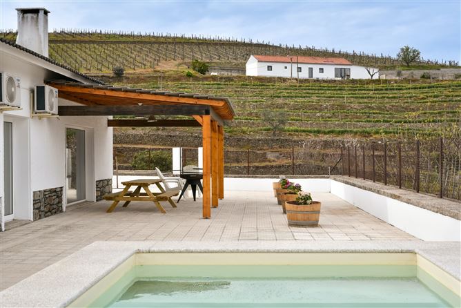 Where the Flowers Bloom,Covelinhas, Vila Real, Portugal