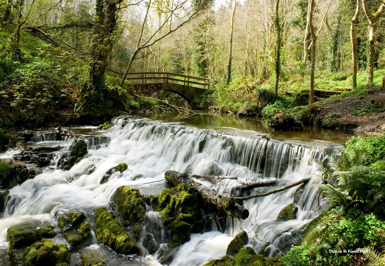Cnoc na Ri , Kingscourt, Cavan