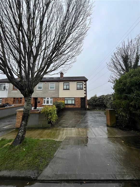 Wood Avens, Clondalkin, Dublin 22