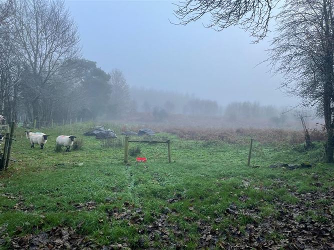 Drumalure More, Belturbet, Cavan