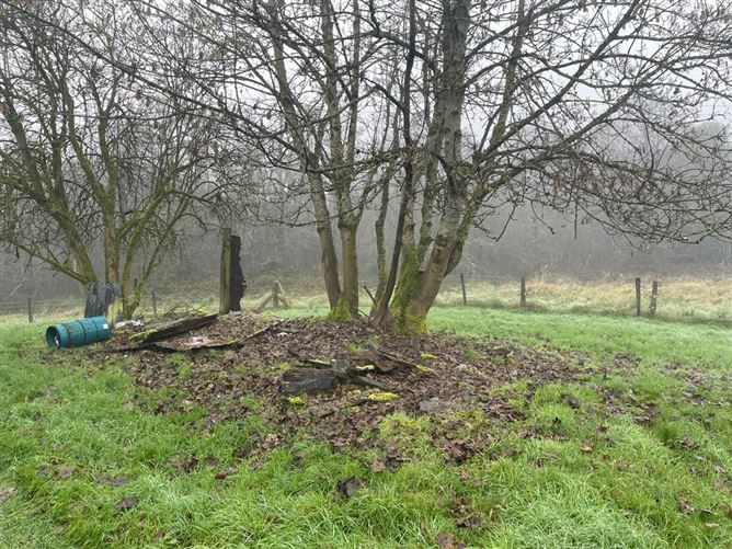 Drumalure More, Belturbet, Cavan