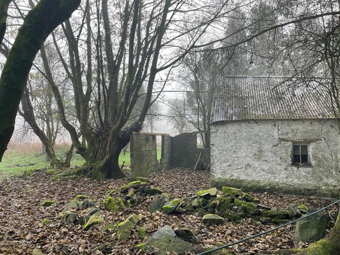 Drumalure More, Belturbet, Cavan