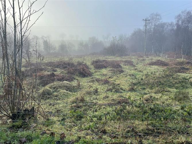 Drumalure More, Belturbet, Cavan