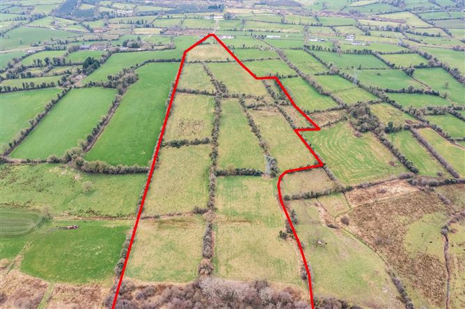 Killynure, Ballyjamesduff, Co. Cavan