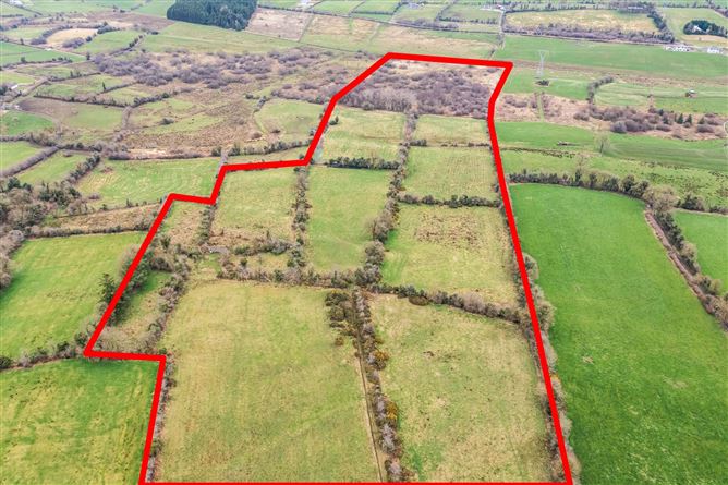 Killynure, Ballyjamesduff, Co. Cavan