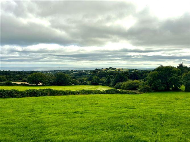 c.14.5 acres Glen of the Downs, Delgany, Wicklow