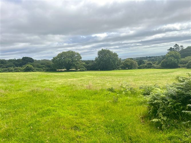 c.14.5 acres Glen of the Downs, Delgany, Wicklow
