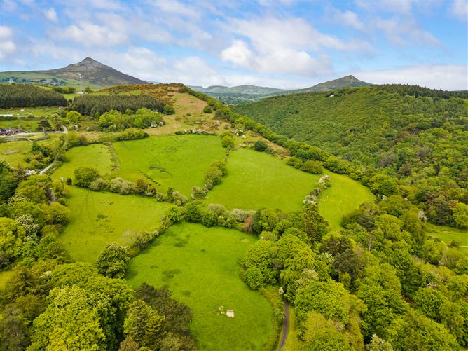 c.14.5 acres Glen of the Downs, Delgany, Wicklow