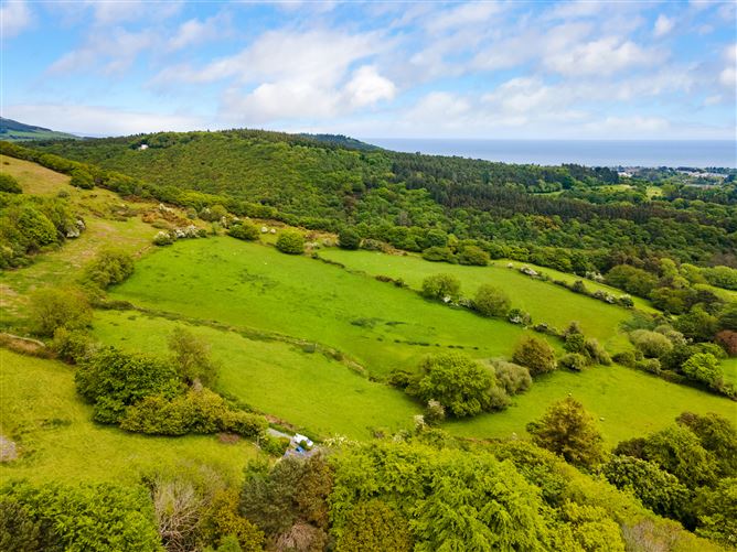 c.14.5 acres Glen of the Downs, Delgany, Wicklow