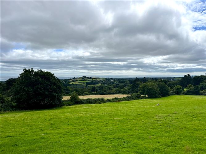 c.14.5 acres Glen of the Downs, Delgany, Wicklow