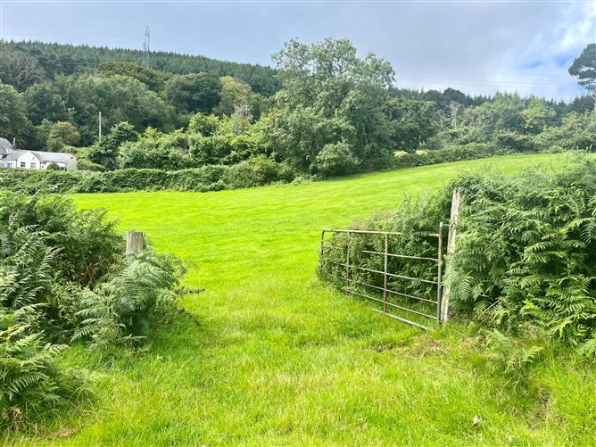 c.14.5 acres Glen of the Downs, Delgany, Wicklow