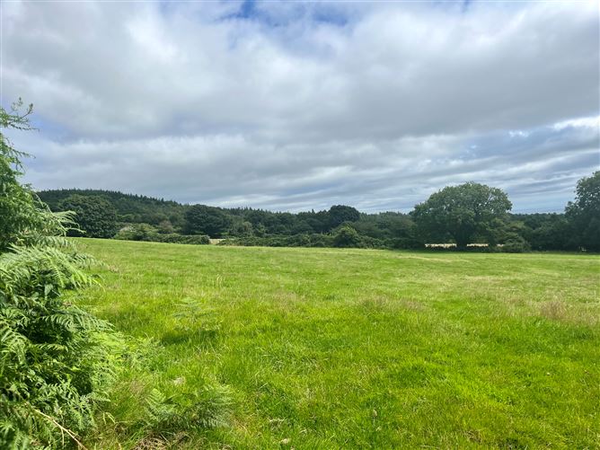 c.14.5 acres Glen of the Downs, Delgany, Wicklow