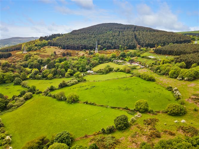 c.14.5 acres Glen of the Downs, Delgany, Wicklow