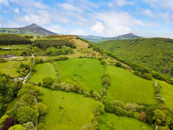 c.14.5 acres Glen of the Downs, Delgany, Wicklow