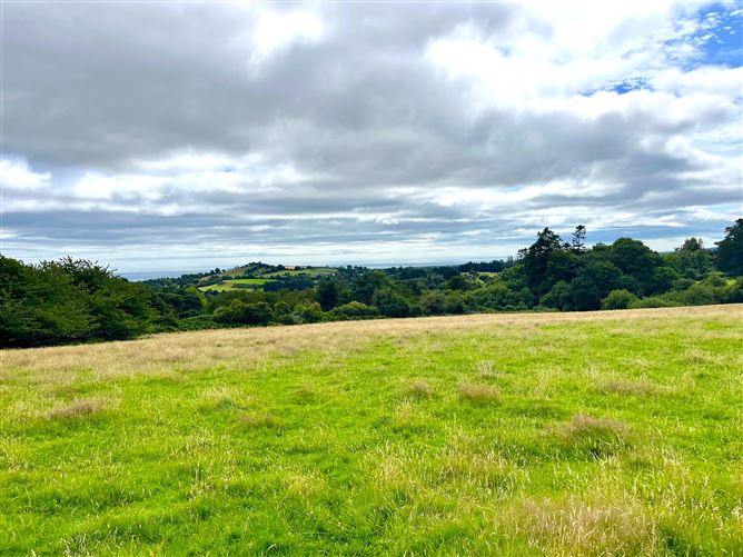 c.14.5 acres Glen of the Downs, Delgany, Wicklow