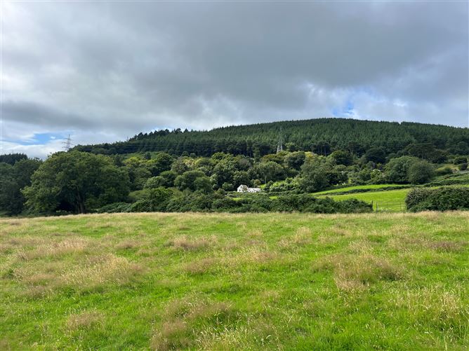 c.14.5 acres Glen of the Downs, Delgany, Wicklow