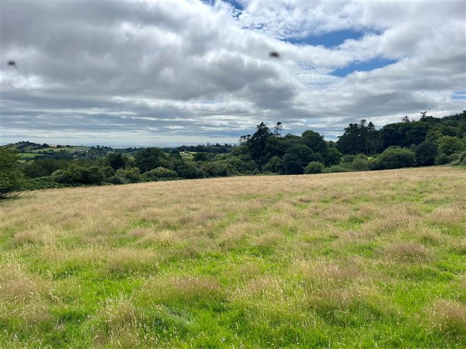 c.14.5 acres Glen of the Downs, Delgany, Wicklow