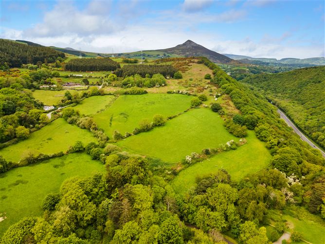c.14.5 acres Glen of the Downs, Delgany, Wicklow