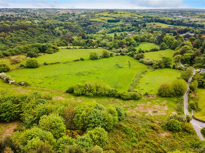 c.14.5 acres Glen of the Downs, Delgany, Wicklow