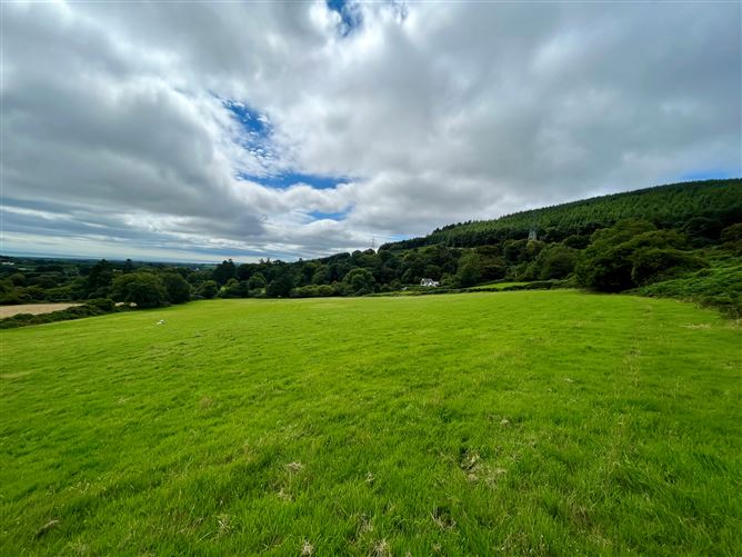 c.14.5 acres Glen of the Downs, Delgany, Wicklow