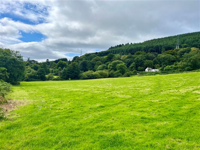 c.14.5 acres Glen of the Downs, Delgany, Wicklow