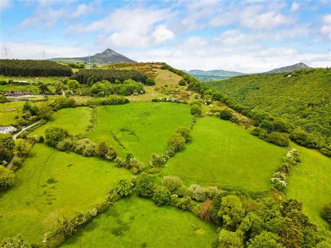 c.14.5 acres Glen of the Downs, Delgany, Wicklow
