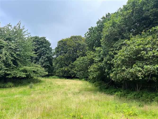 c.14.5 acres Glen of the Downs, Delgany, Wicklow