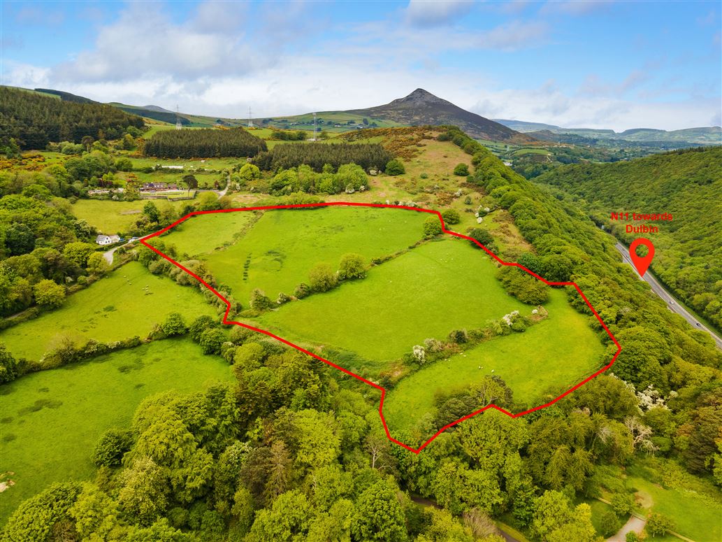 c.14.5 acres Glen of the Downs, Delgany, Wicklow