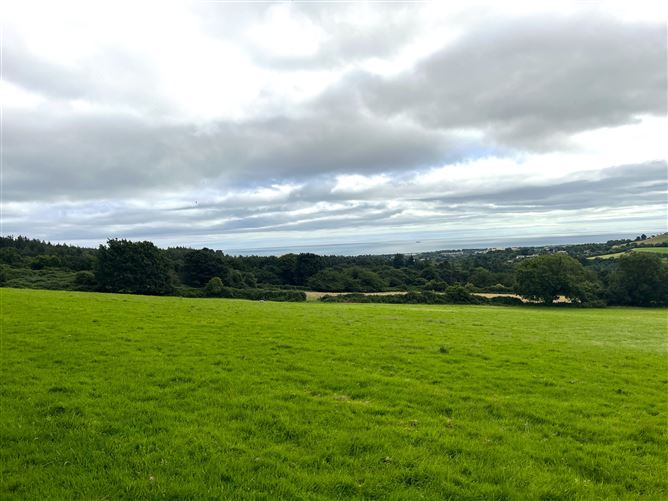 c.14.5 acres Glen of the Downs, Delgany, Wicklow