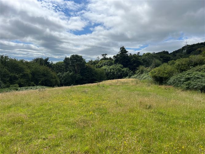 c.14.5 acres Glen of the Downs, Delgany, Wicklow